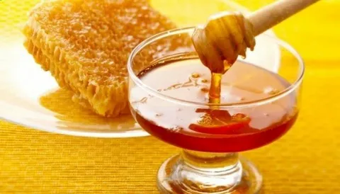 تصویر 1 از قیمت عسل آویشن وحشی با کیفیت ارزان + خرید عمده